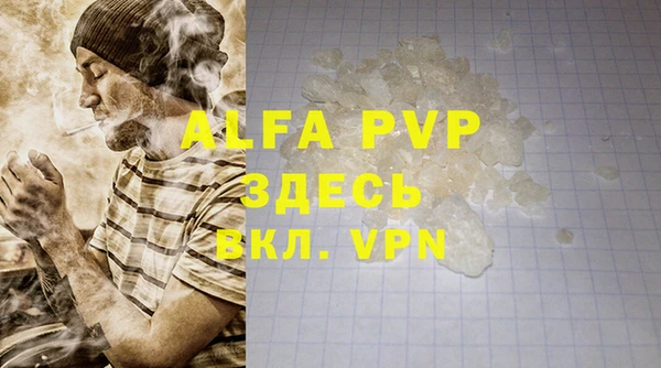 крисы Белокуриха