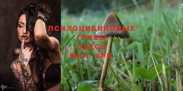 молекула духа Беломорск